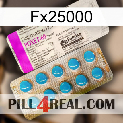 Fx25000 new07